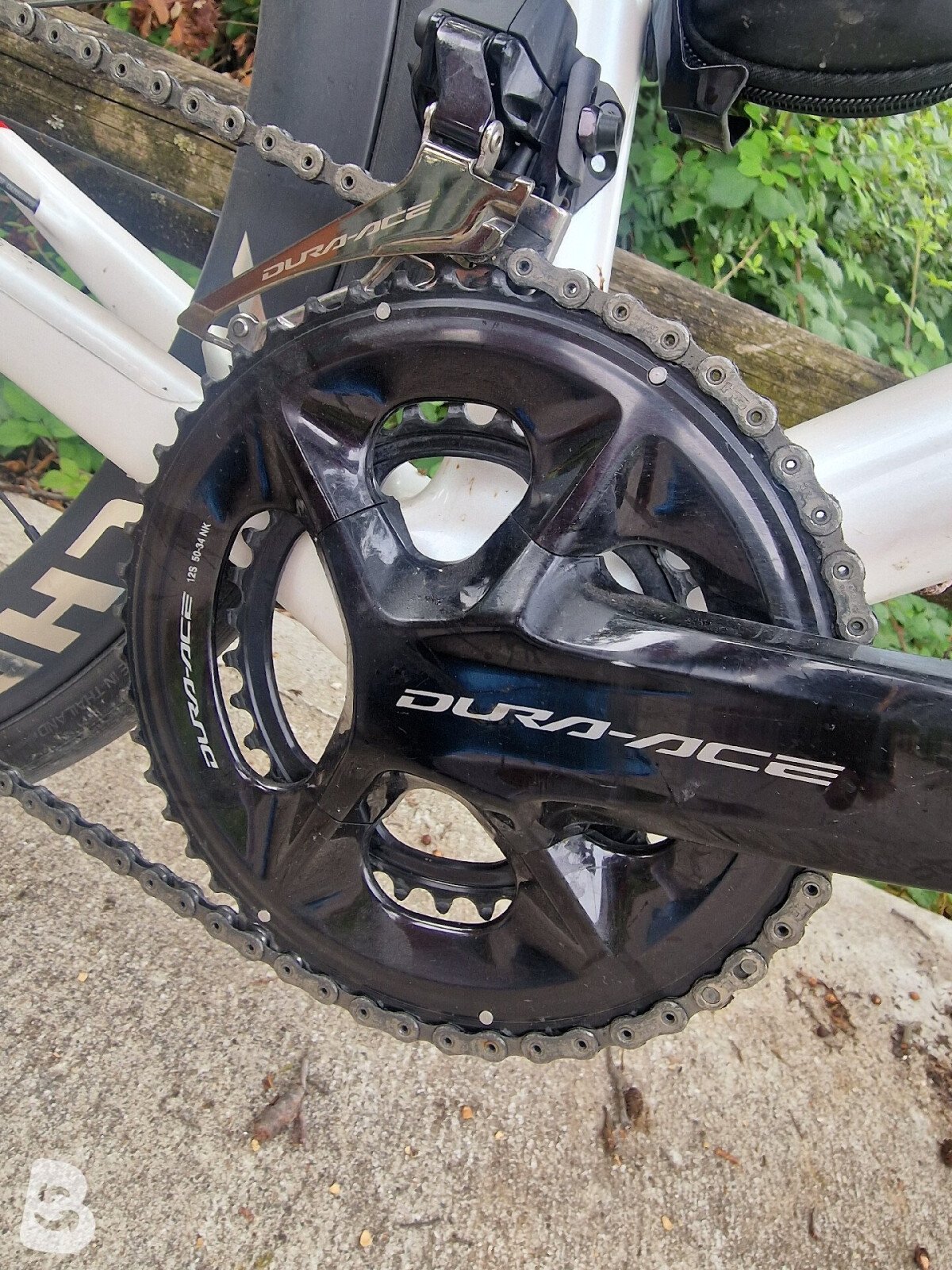 Wilier Verticale 2025