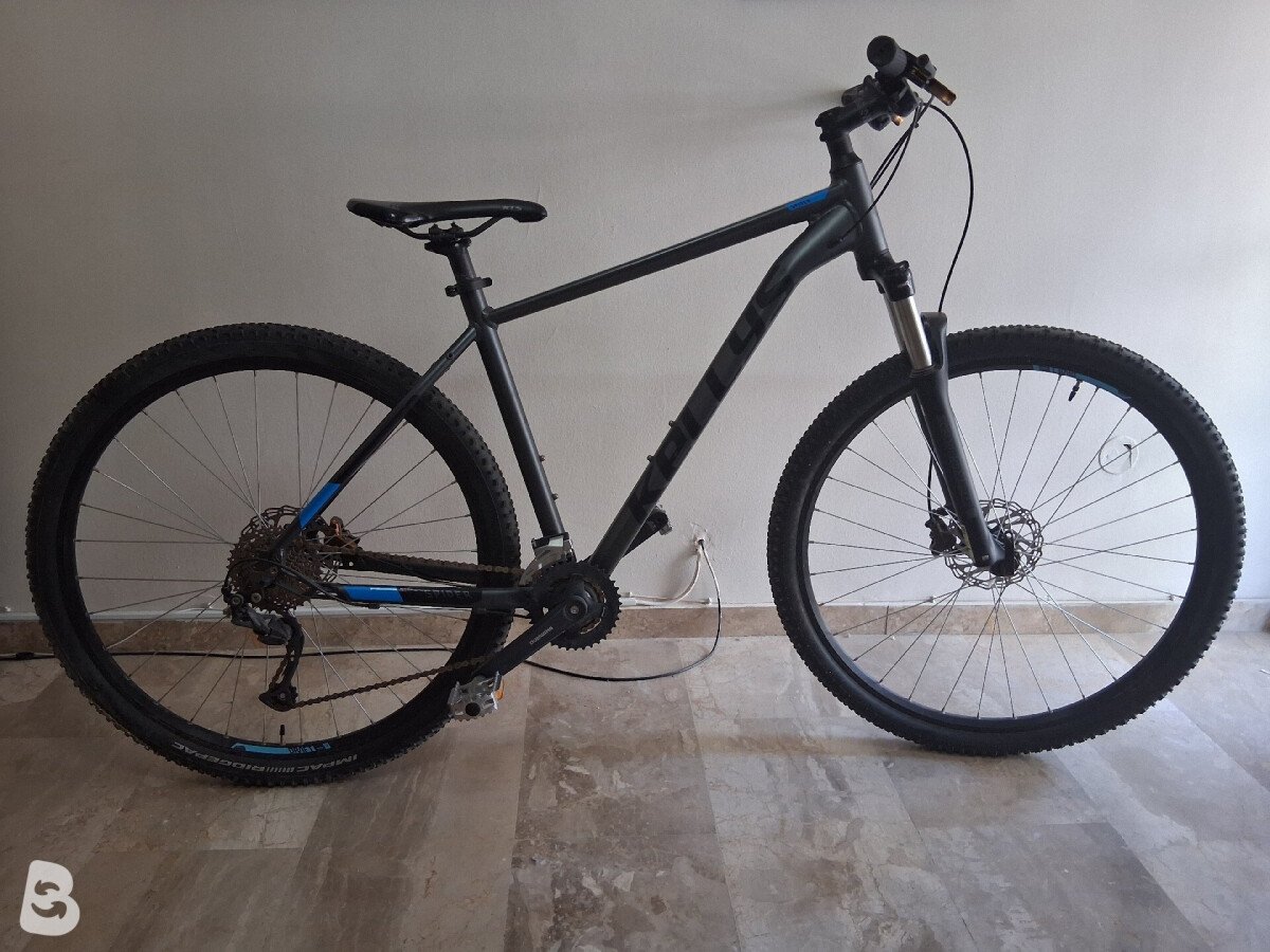Kellys Spider 70 2021