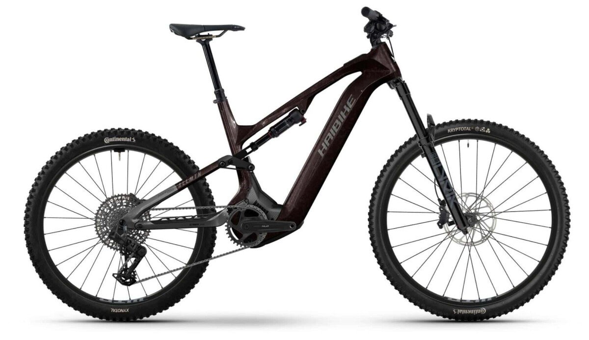 Haibike Allmtn CF 9 black platinum 2026