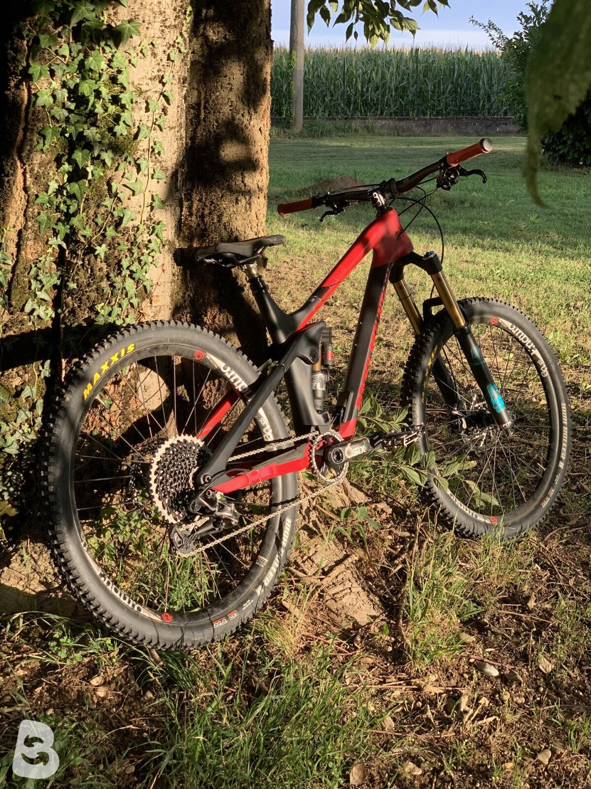 Rocky Mountain Slayer 790 MSL 2017