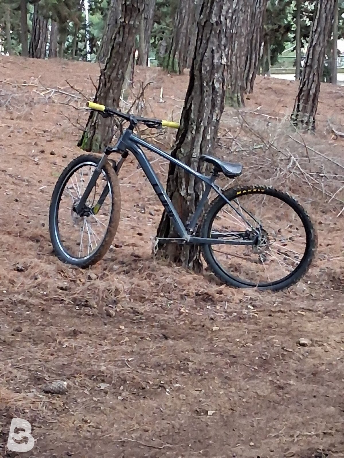 Cube AIM, PRO 2023