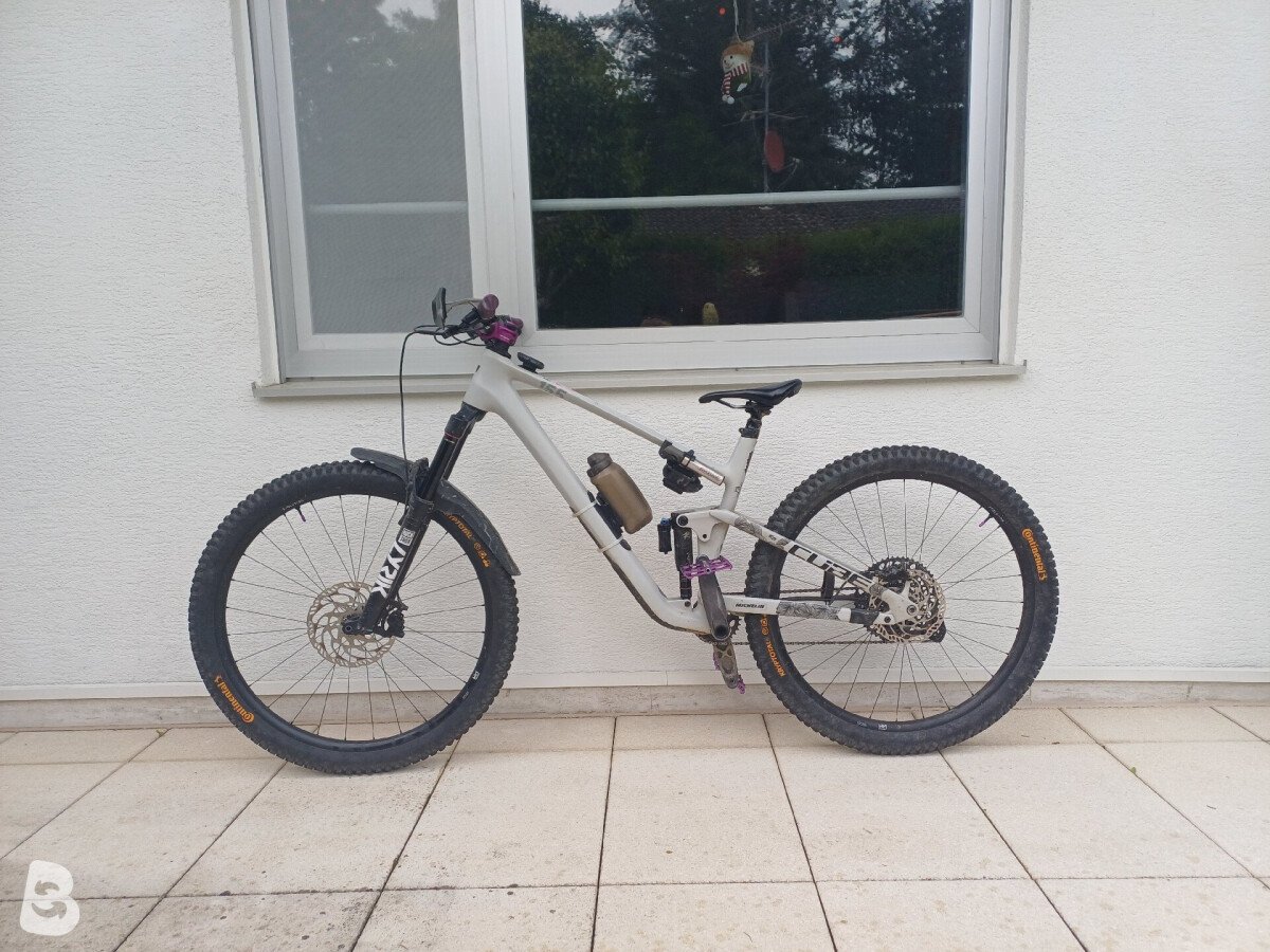 Cube STEREO ONE55 C:62, RACE 29 2023