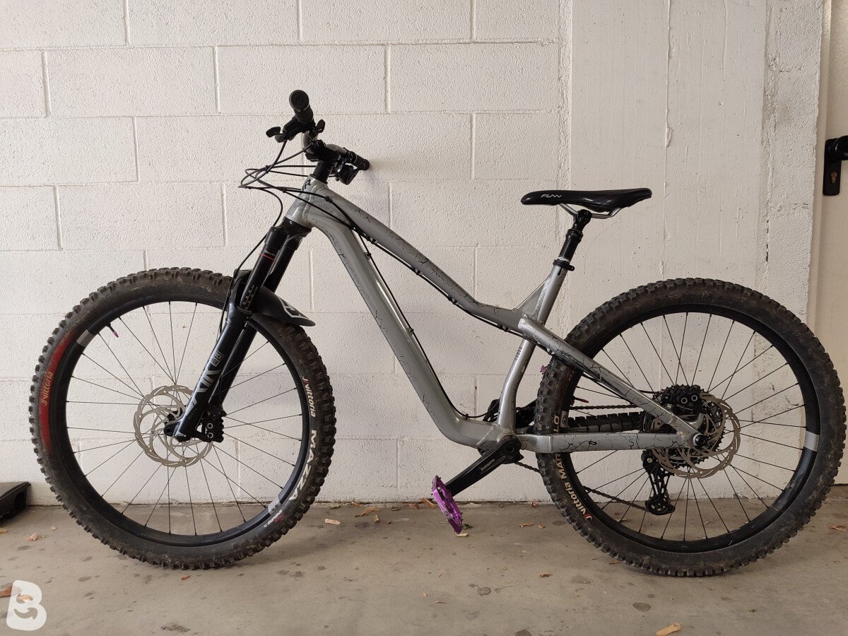 Dartmoor Hornet Pro 2024