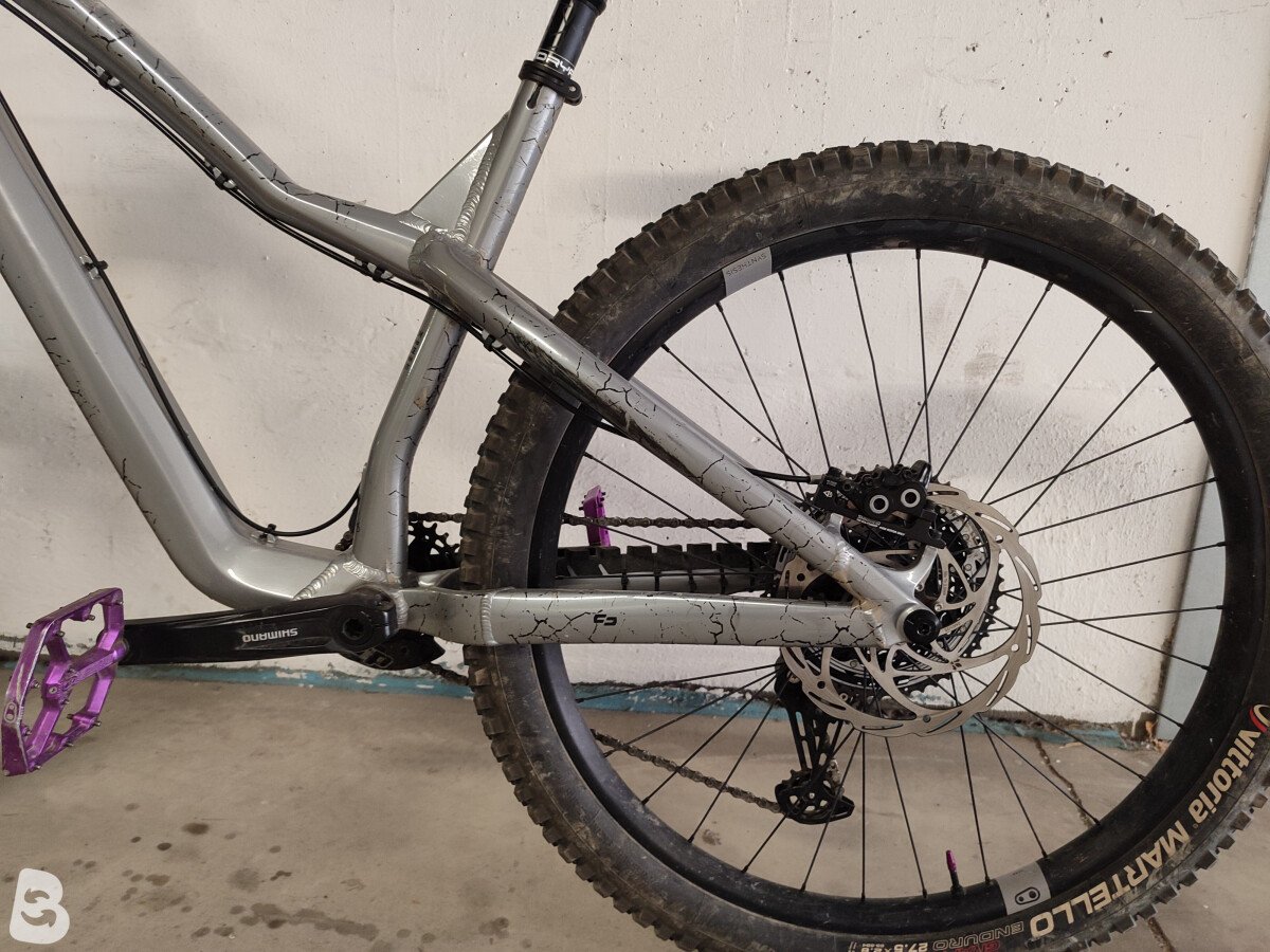Dartmoor Hornet Pro 2024