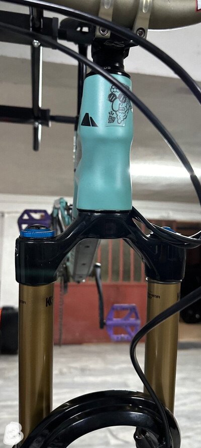 Canyon Torque 6 2022