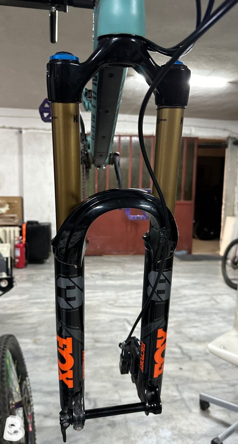 Canyon Torque 6 2022