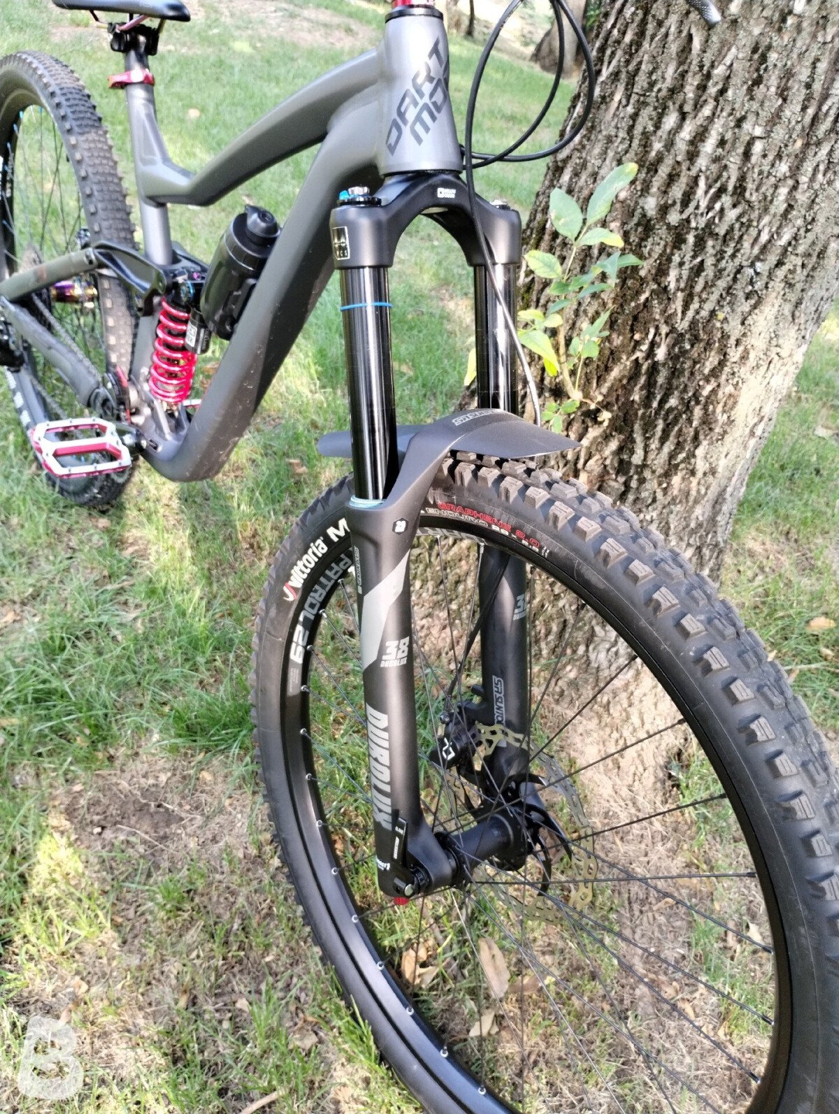 Dartmoor Hornet Pro 2025