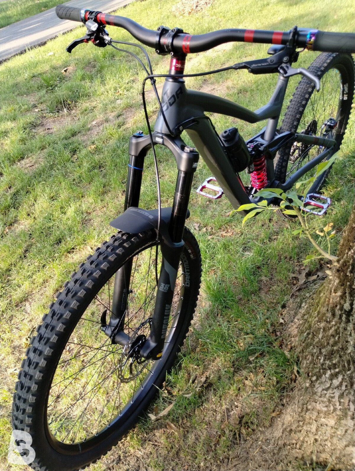 Dartmoor Hornet Pro 2025