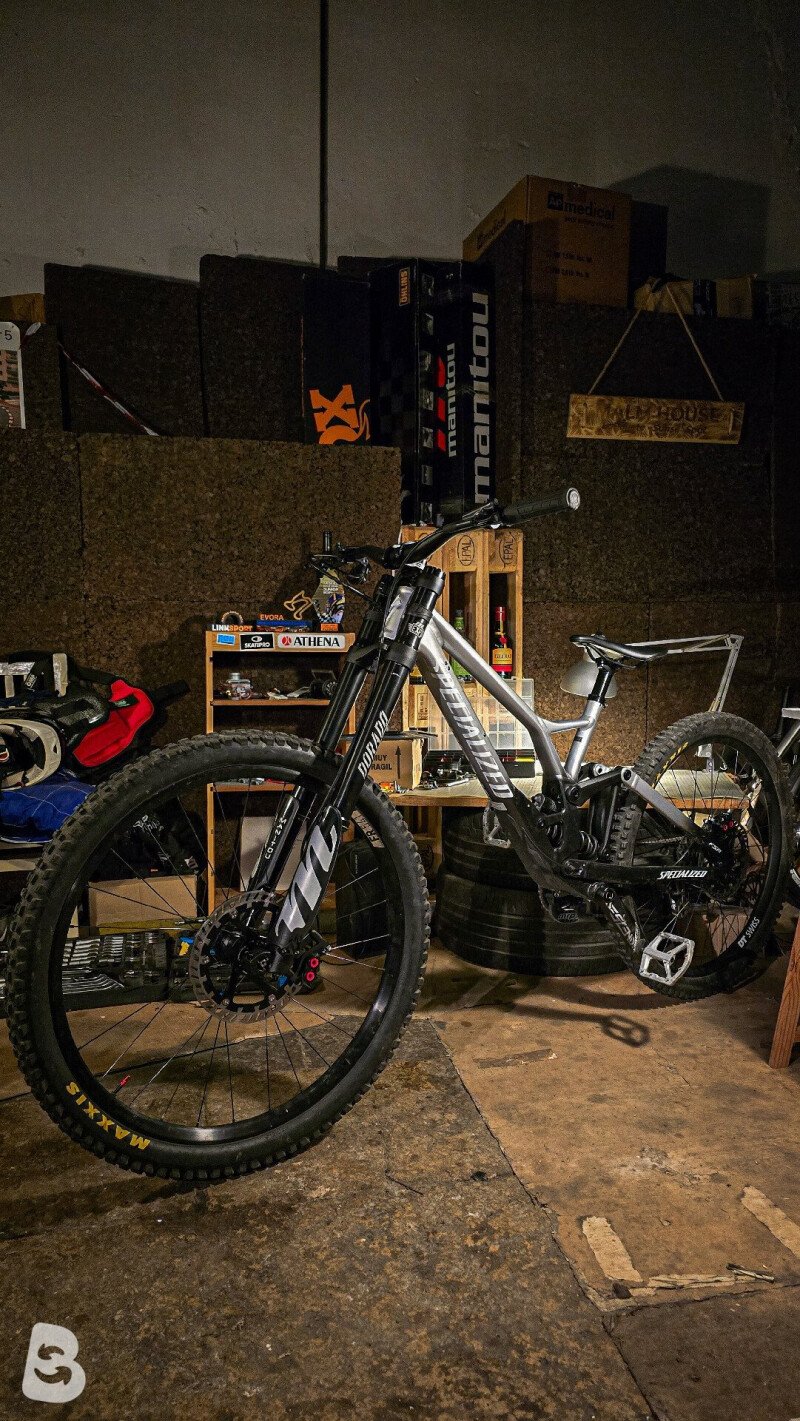 Specialized Demo Expert 2022