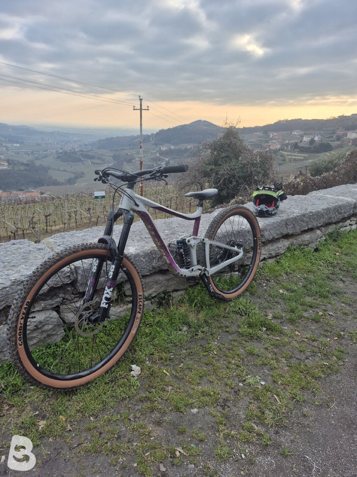 Giant Reign SX 2020