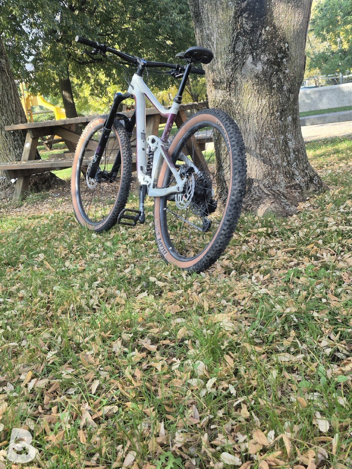 Giant Reign SX 2020