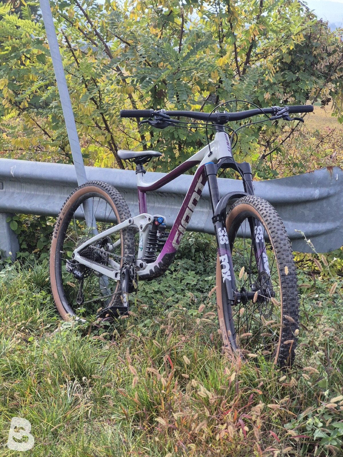 Giant Reign SX 2020