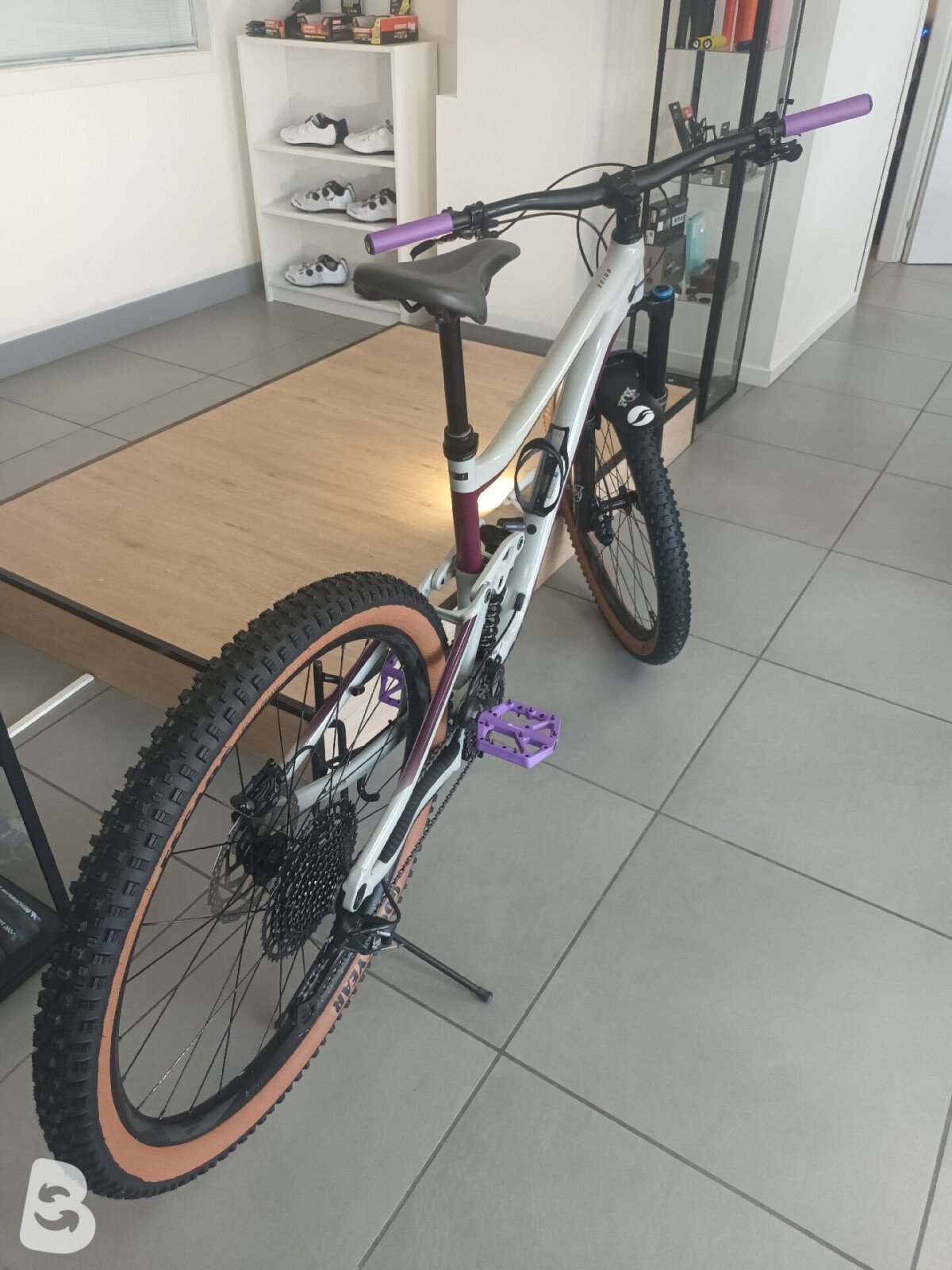 Giant Reign SX 2020