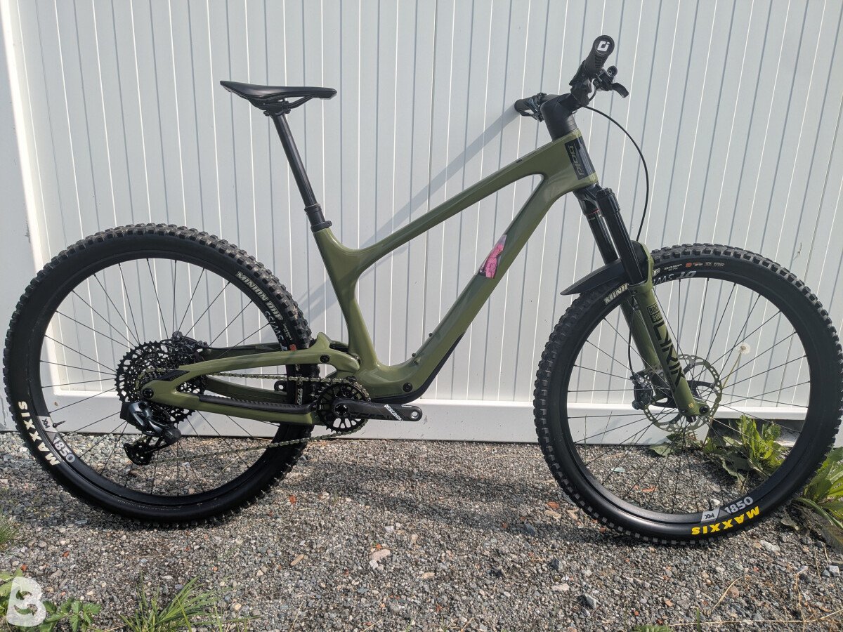 Bold Linkin LT 2023