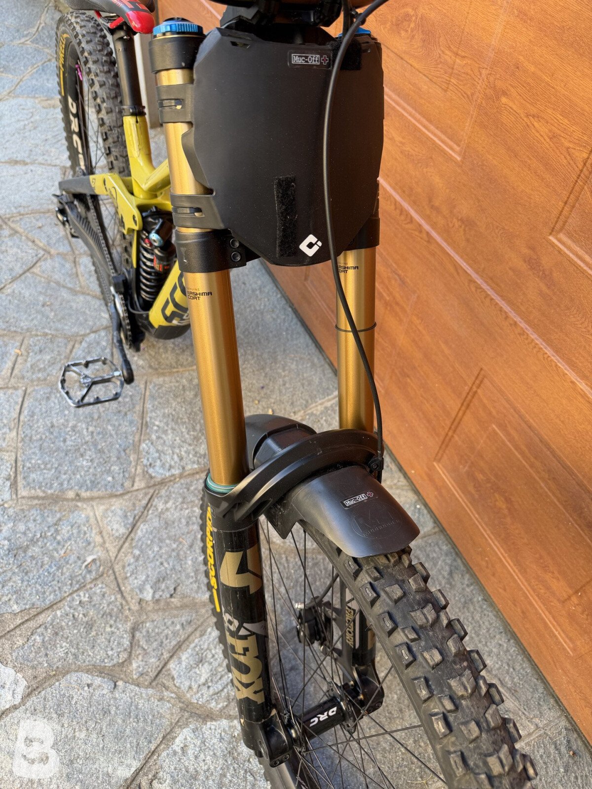 Scott Gambler 900 Tuned 2023