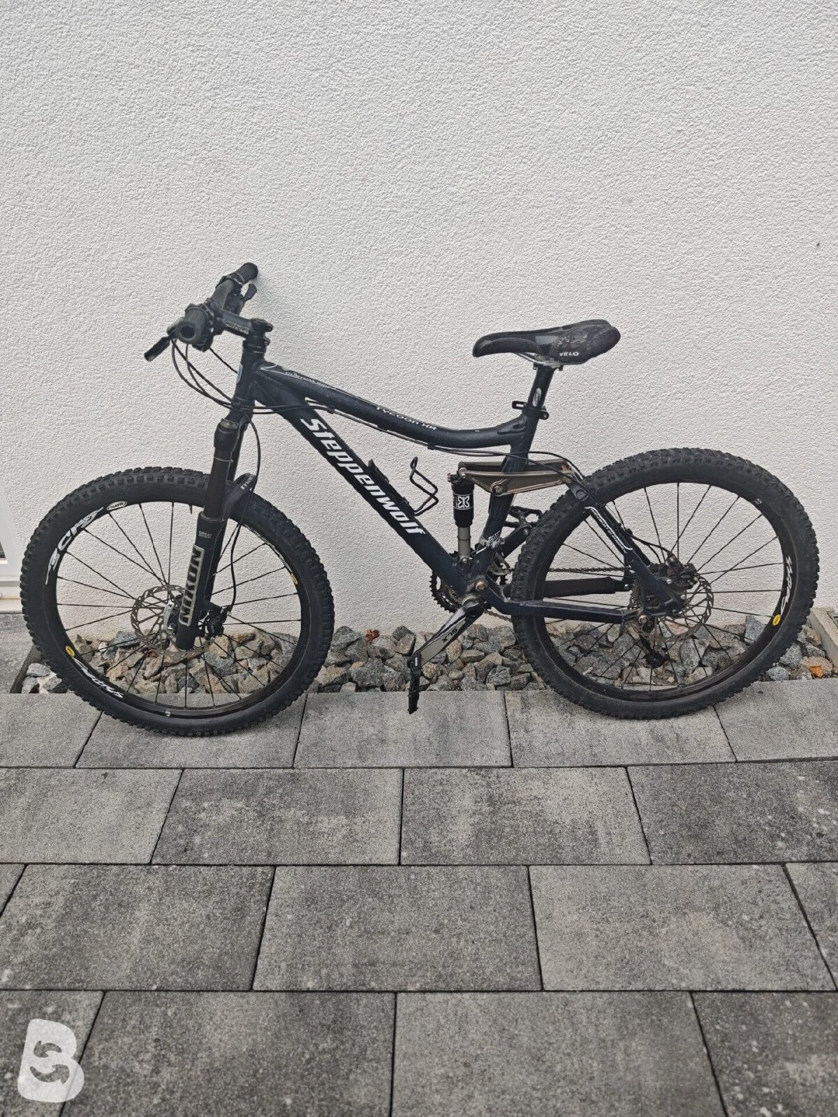 Steppenwolf Tycoon XR 2010