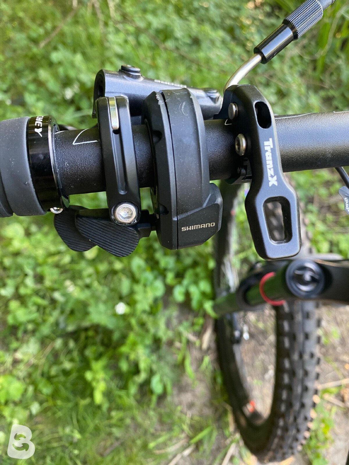 Olympia Hammer Prime 2021