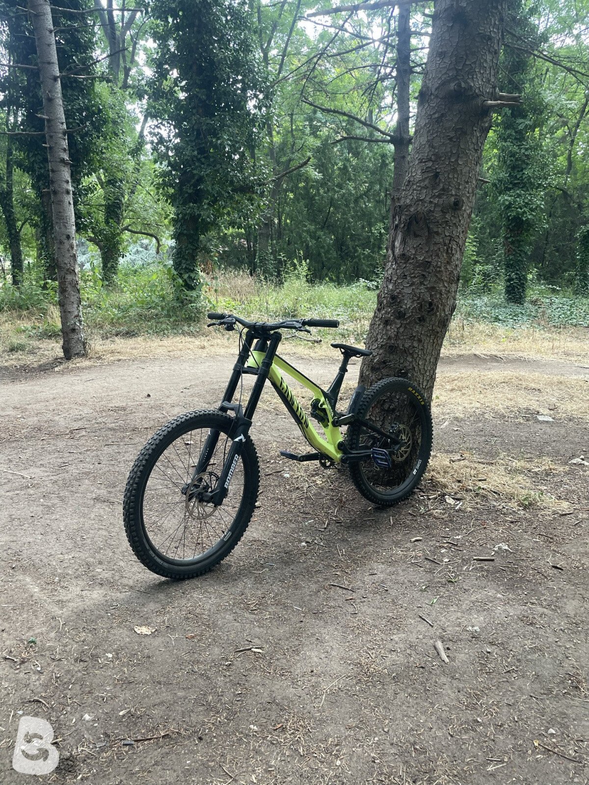 Canyon Sender AL 6.0 2020
