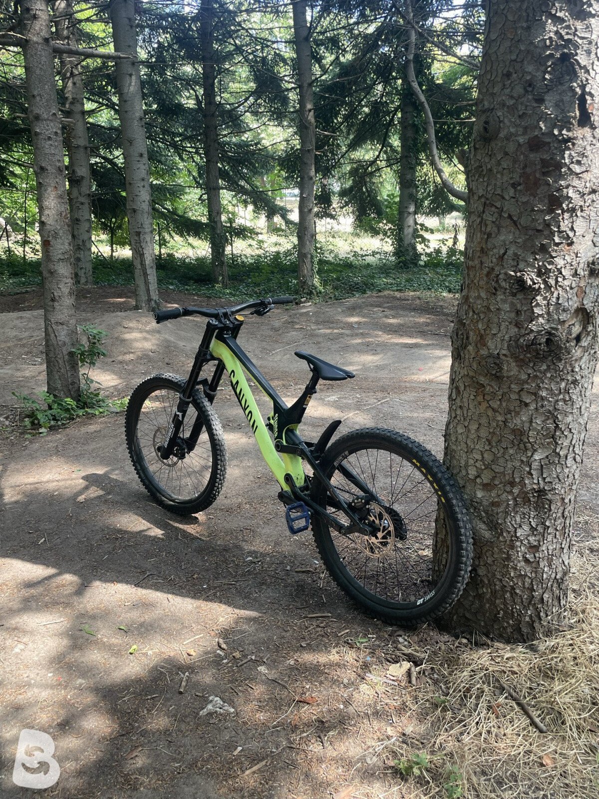 Canyon Sender AL 6.0 2020