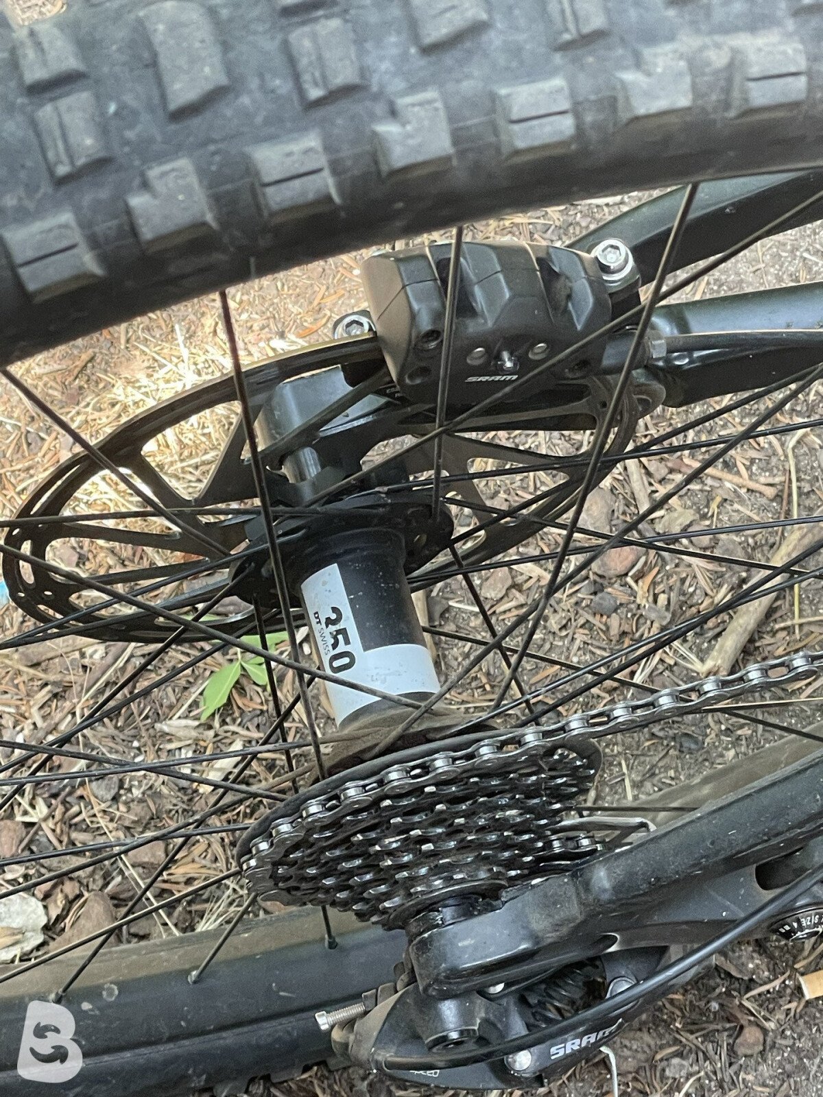 Canyon Sender AL 6.0 2020