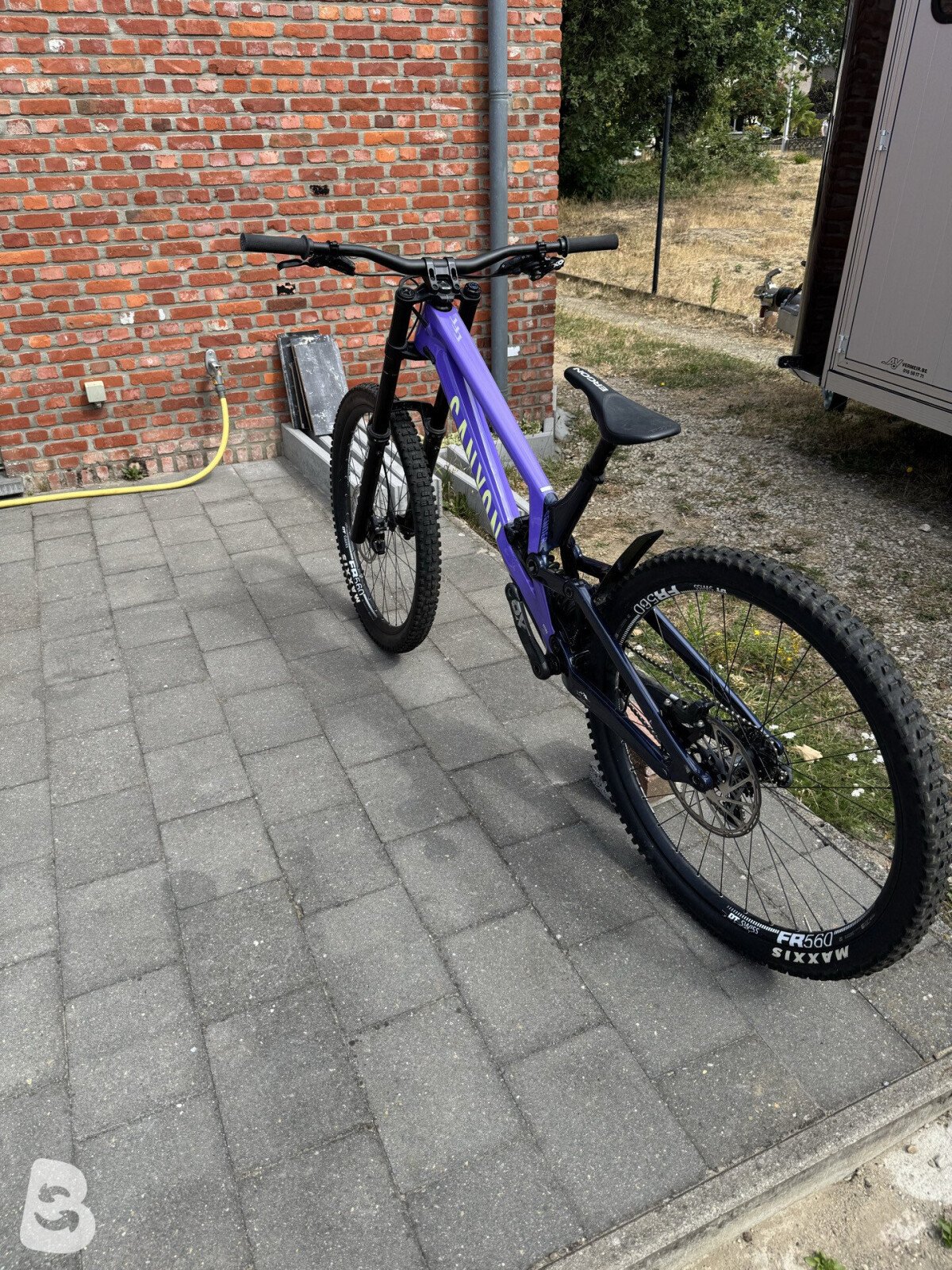 Canyon Sender CFR 29 LTD 2024