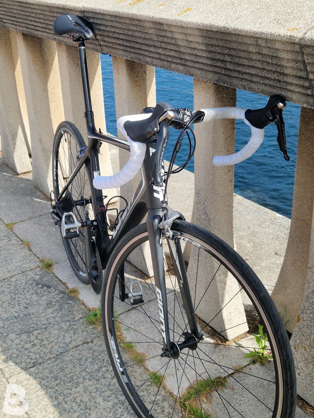 Giant TCR Advanced 2015