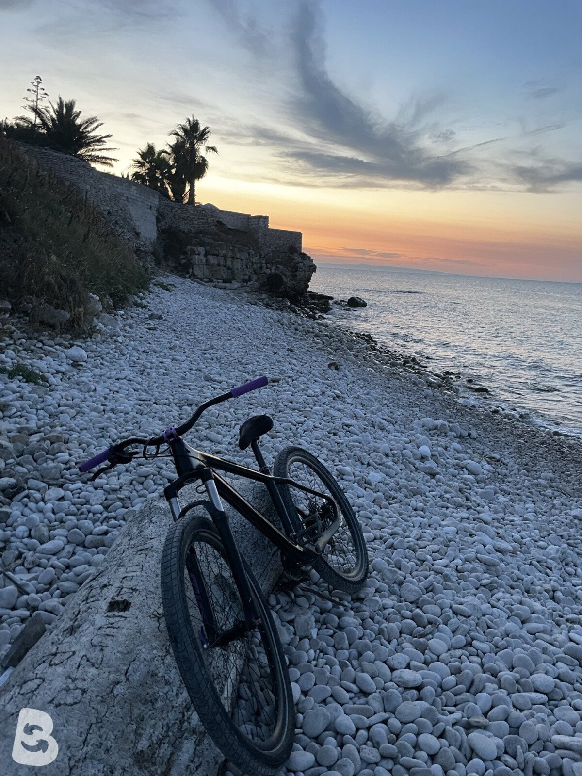 Ridley Wheelie 2020