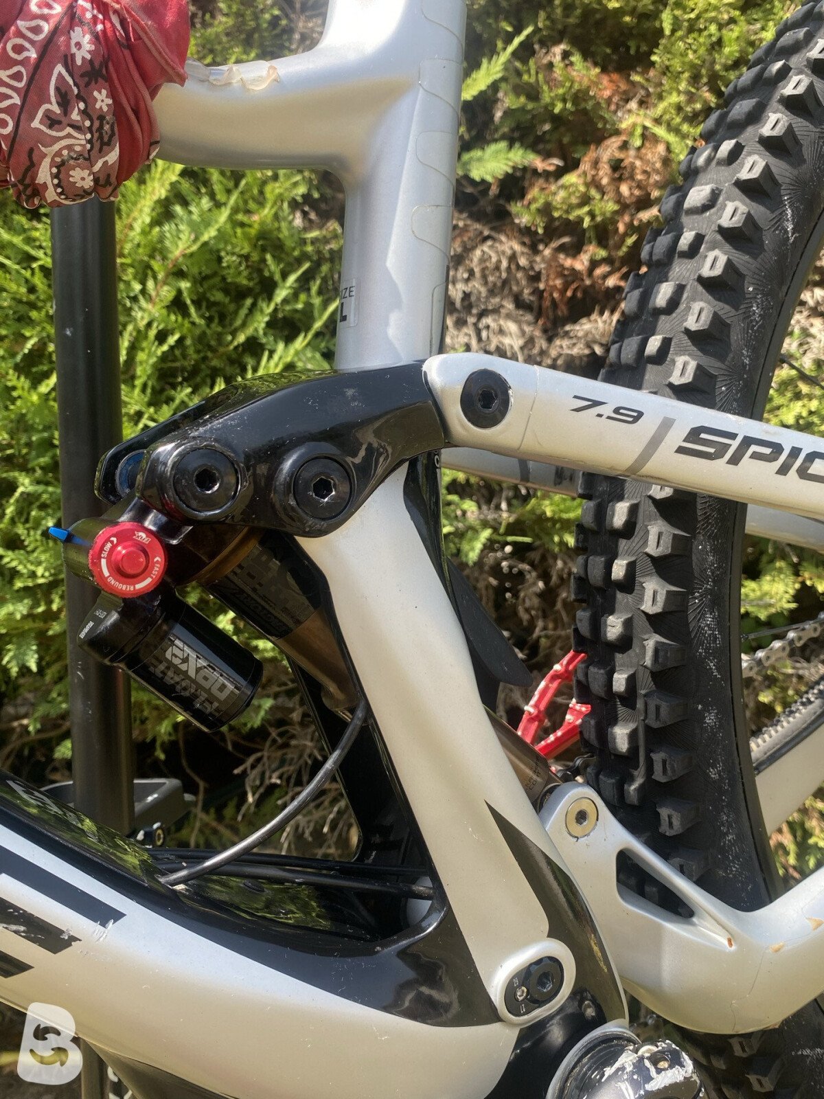Lapierre Spicy 7.9 CF 2021