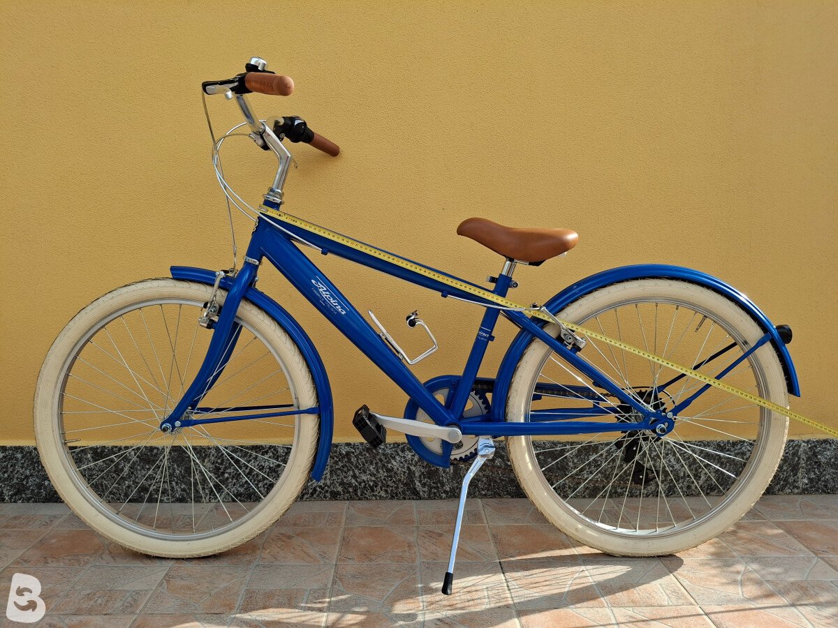 Alpina HOLLAND 24" 2024