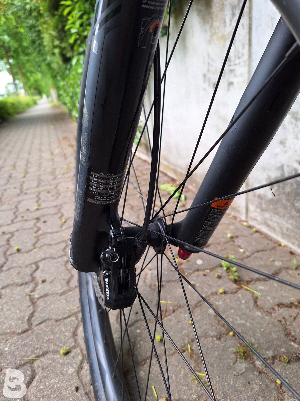 Giant Stance 29 1 2022