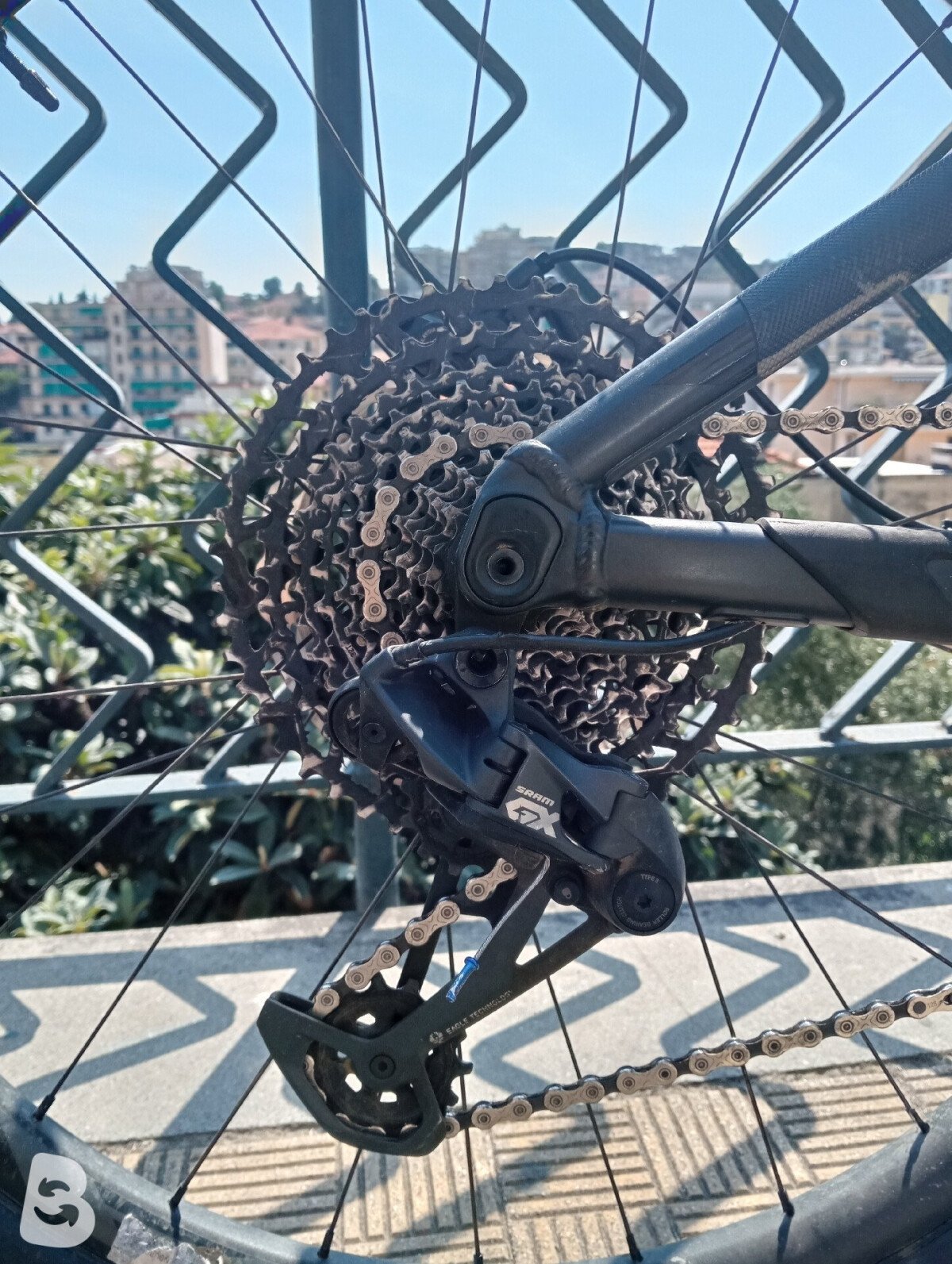Giant Reign 2 2019