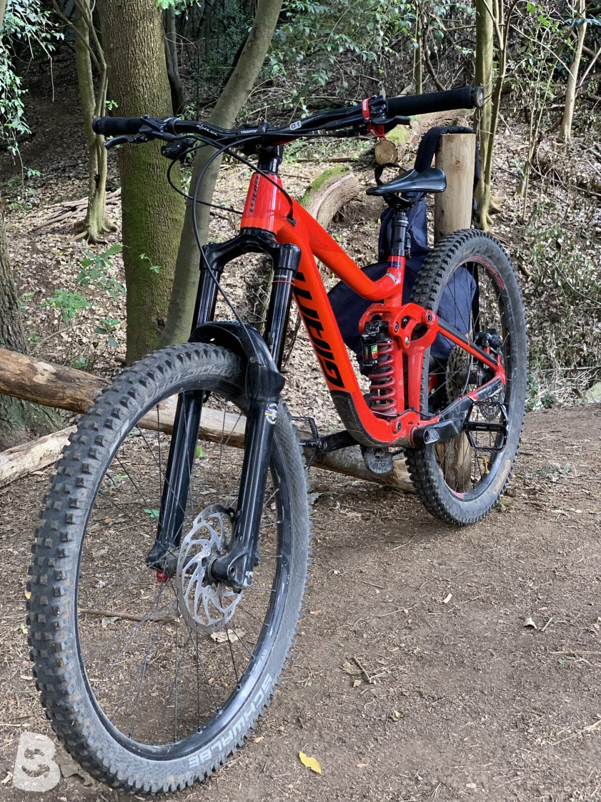 Giant Reign SX 2 2019