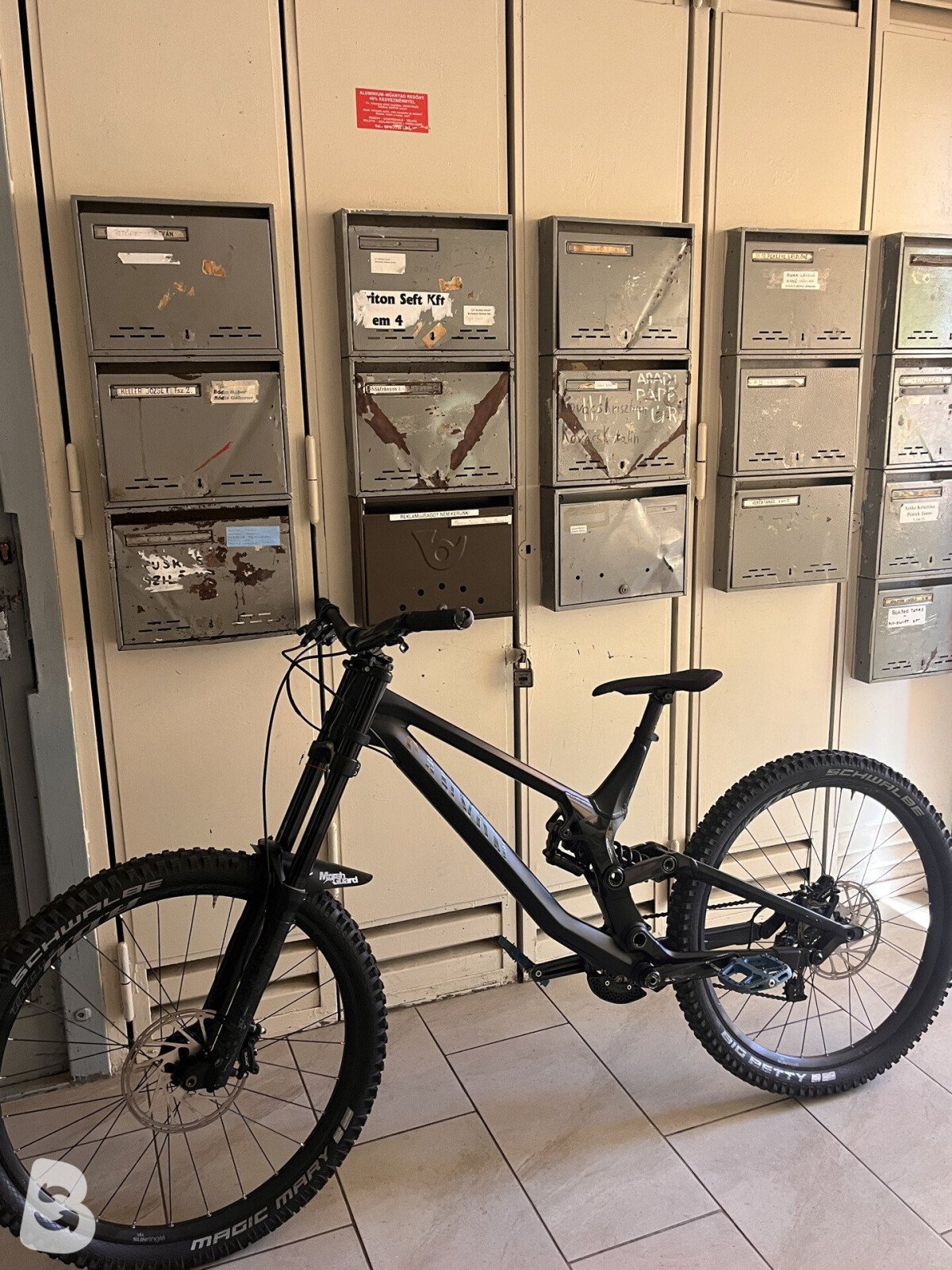 Canyon Sender AL 6.0 2019