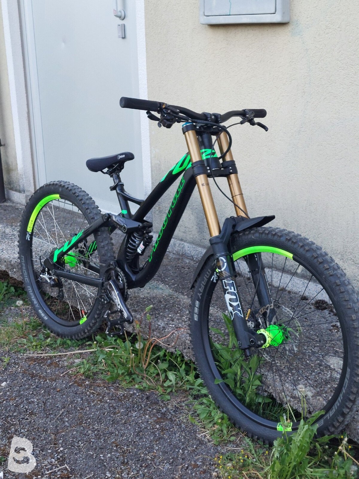 Procycle Fuzz 2017