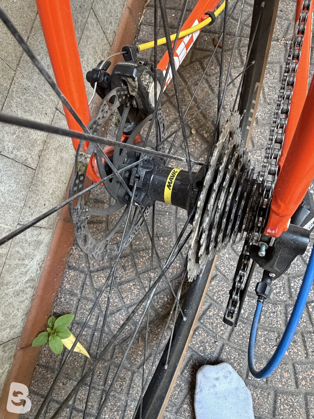 Cinelli Zydeco 2022