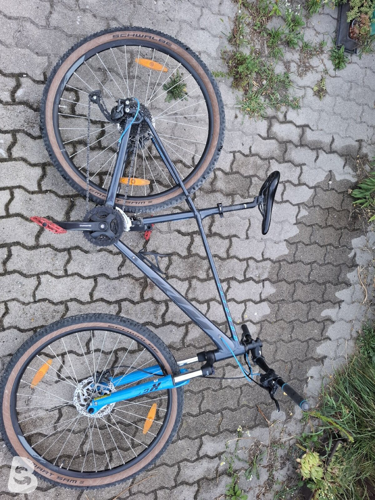 KTM CHICAGO DISC 291 2022