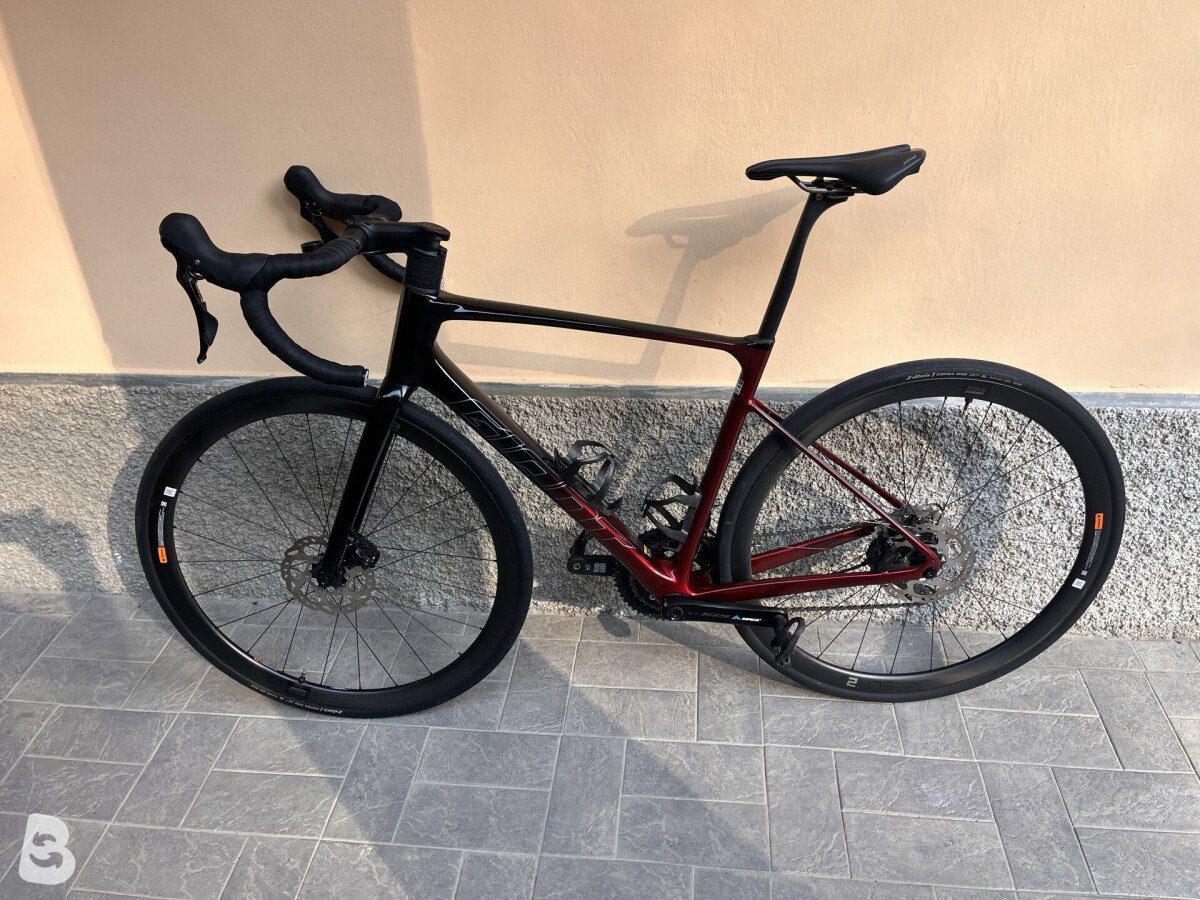 Giant Defy, Advanced 2 2024