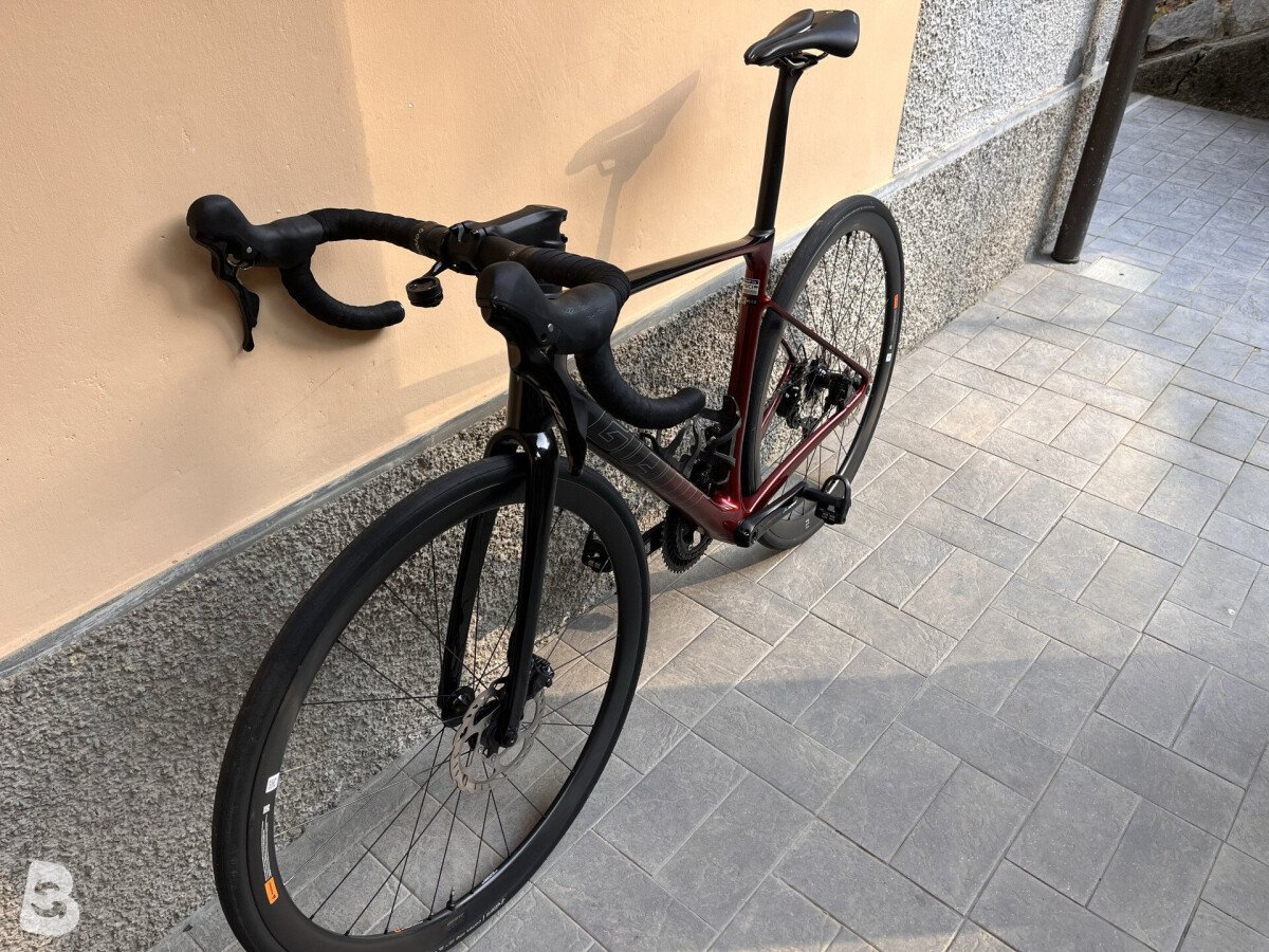 Giant Defy, Advanced 2 2024