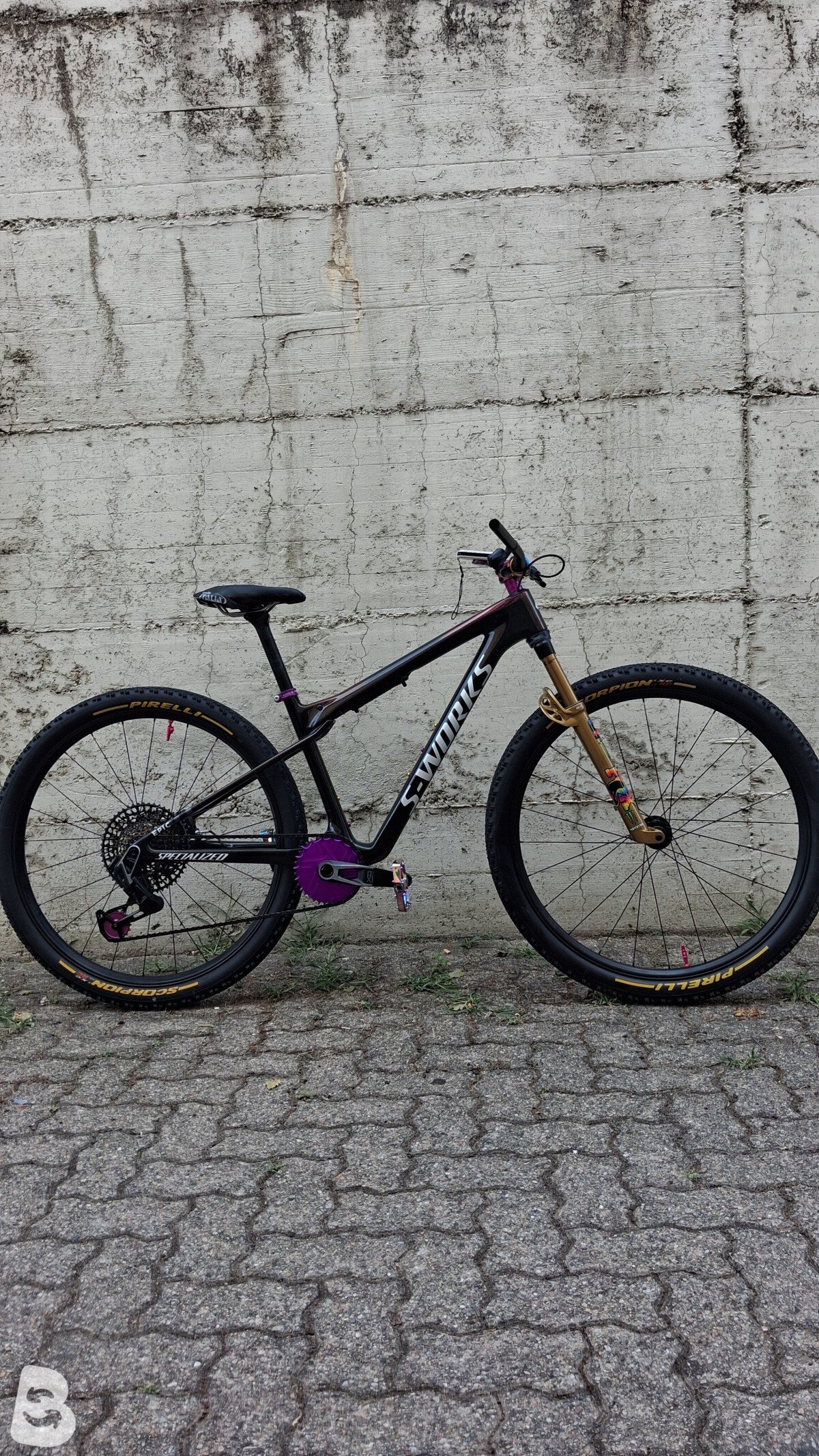 Specialized SWORKS EPIC WC 2025