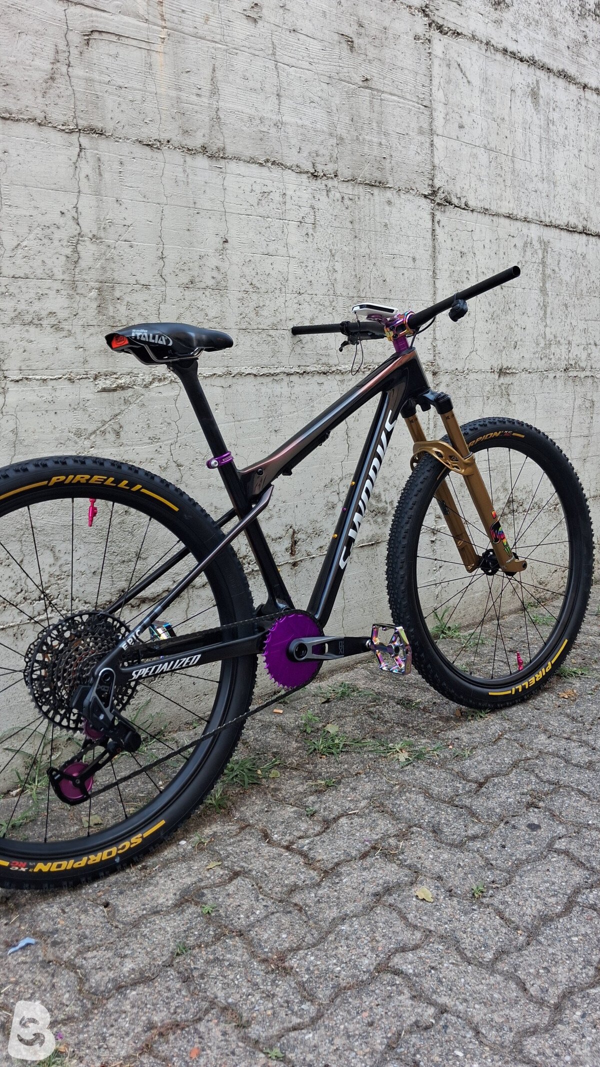 Specialized SWORKS EPIC WC 2025