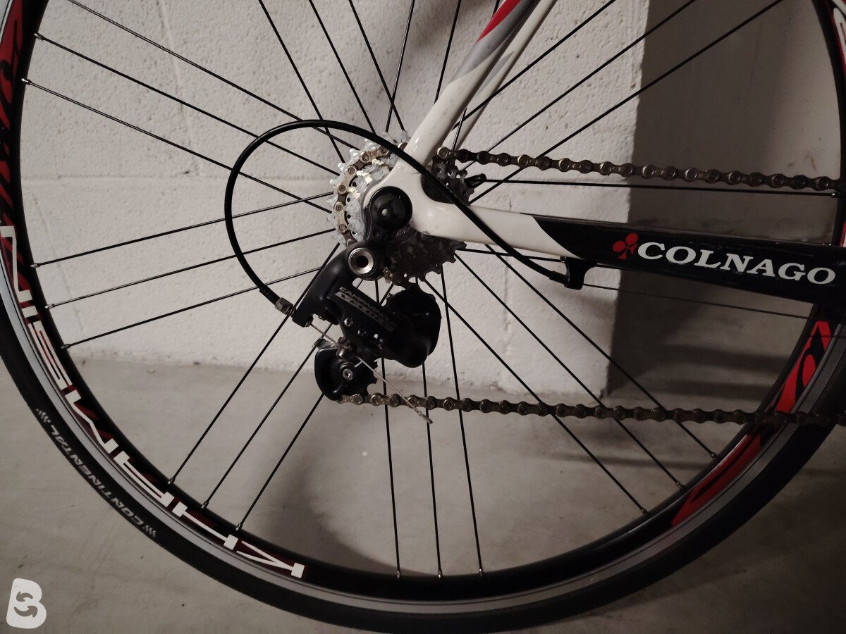 Colnago ace 2010