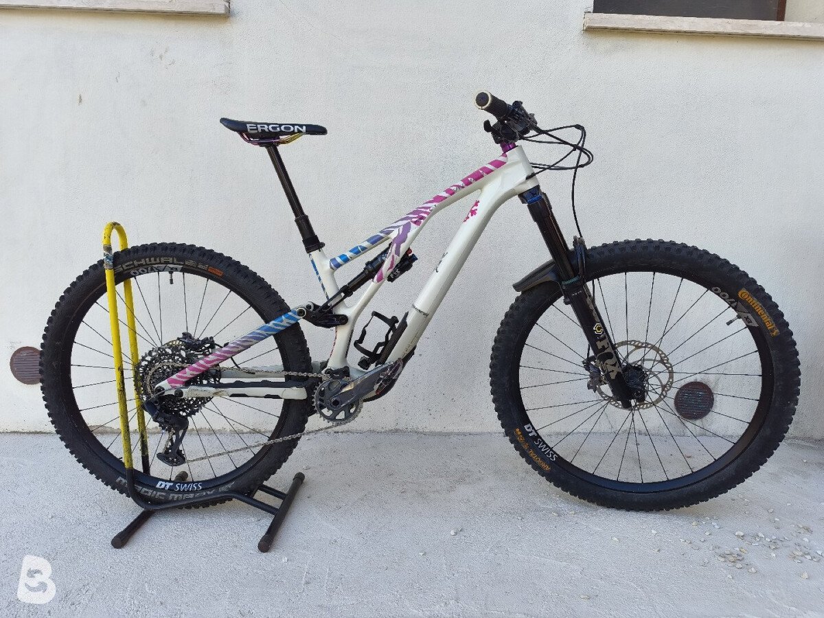 Specialized Stumpjumper custom 2024