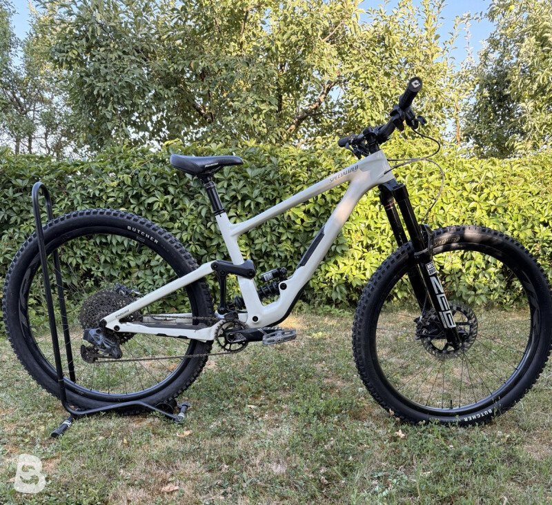 Specialized Enduro Custom 2023