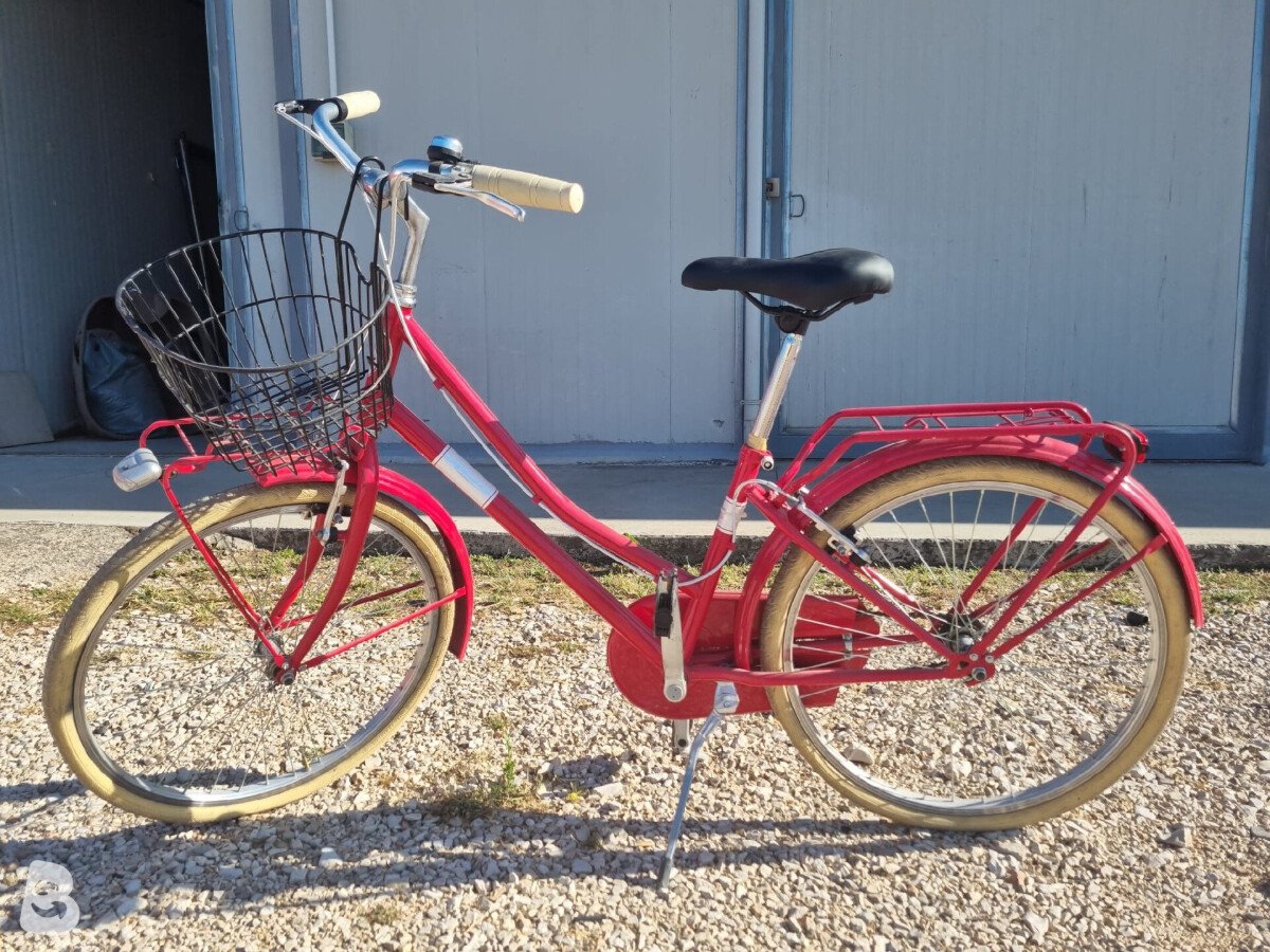 Alpina Alpina City Bike 24 2019