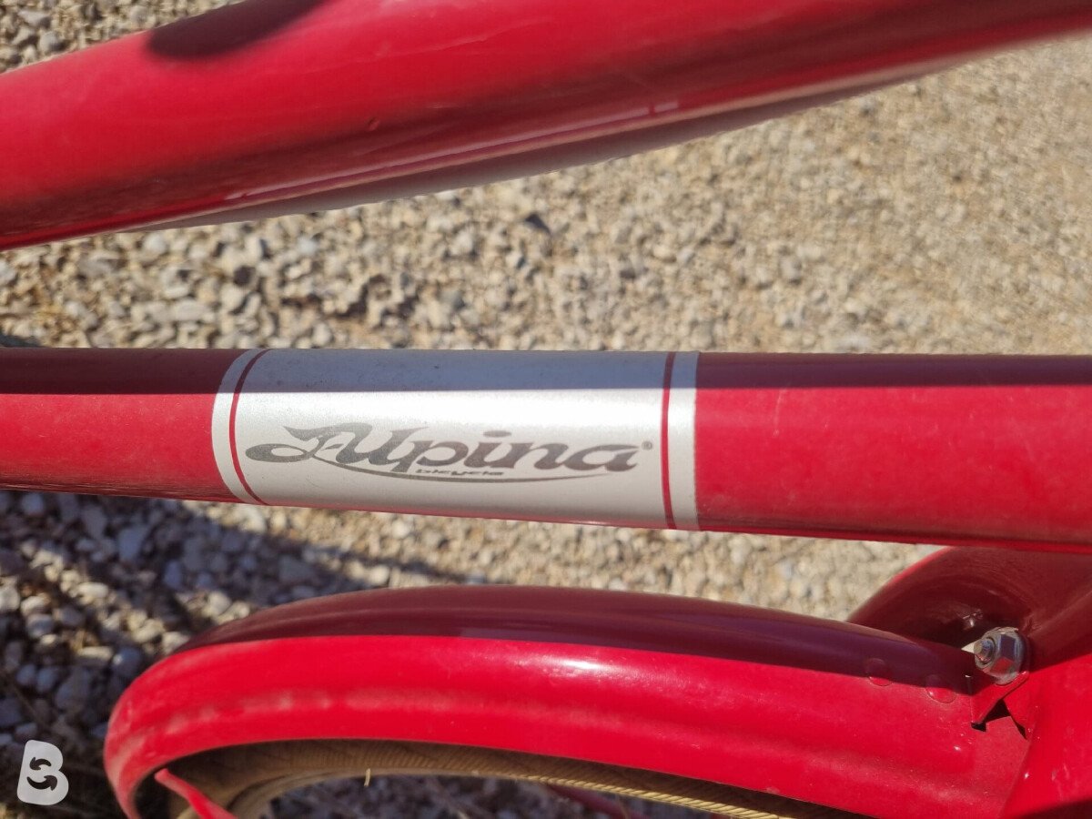 Alpina Alpina City Bike 24 2019