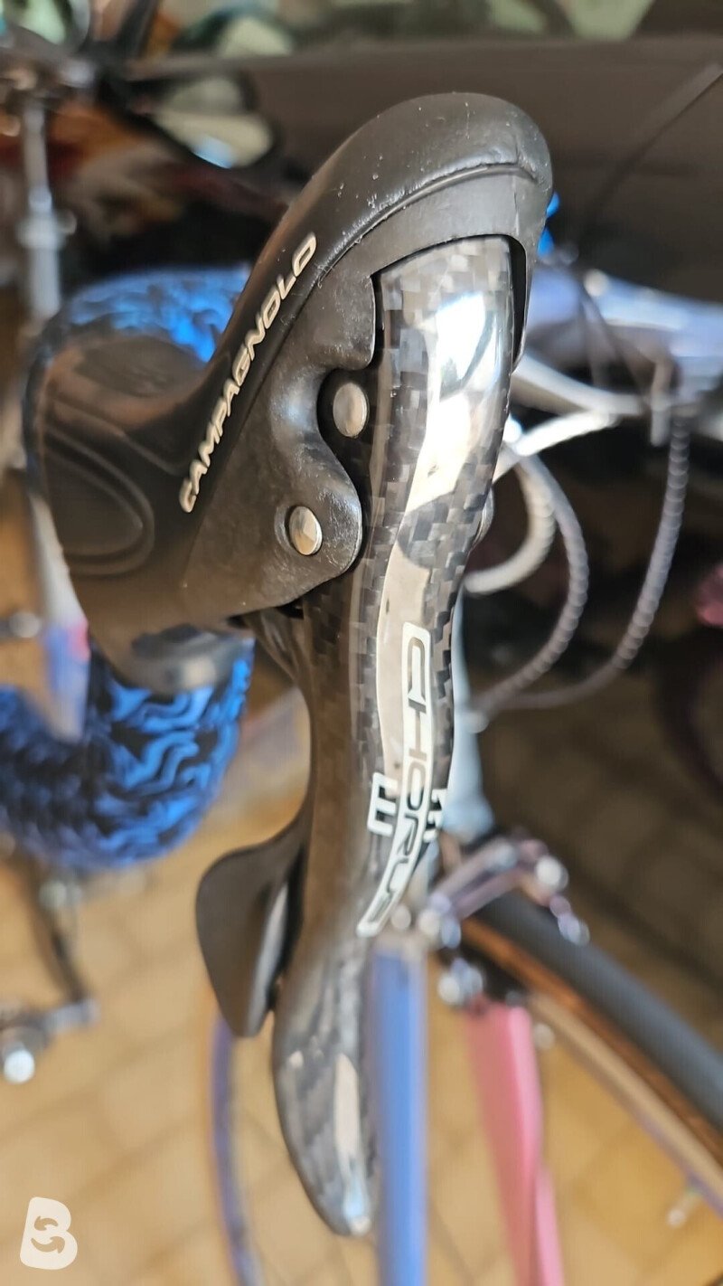 The Wolf Of Custom Titanio 2019