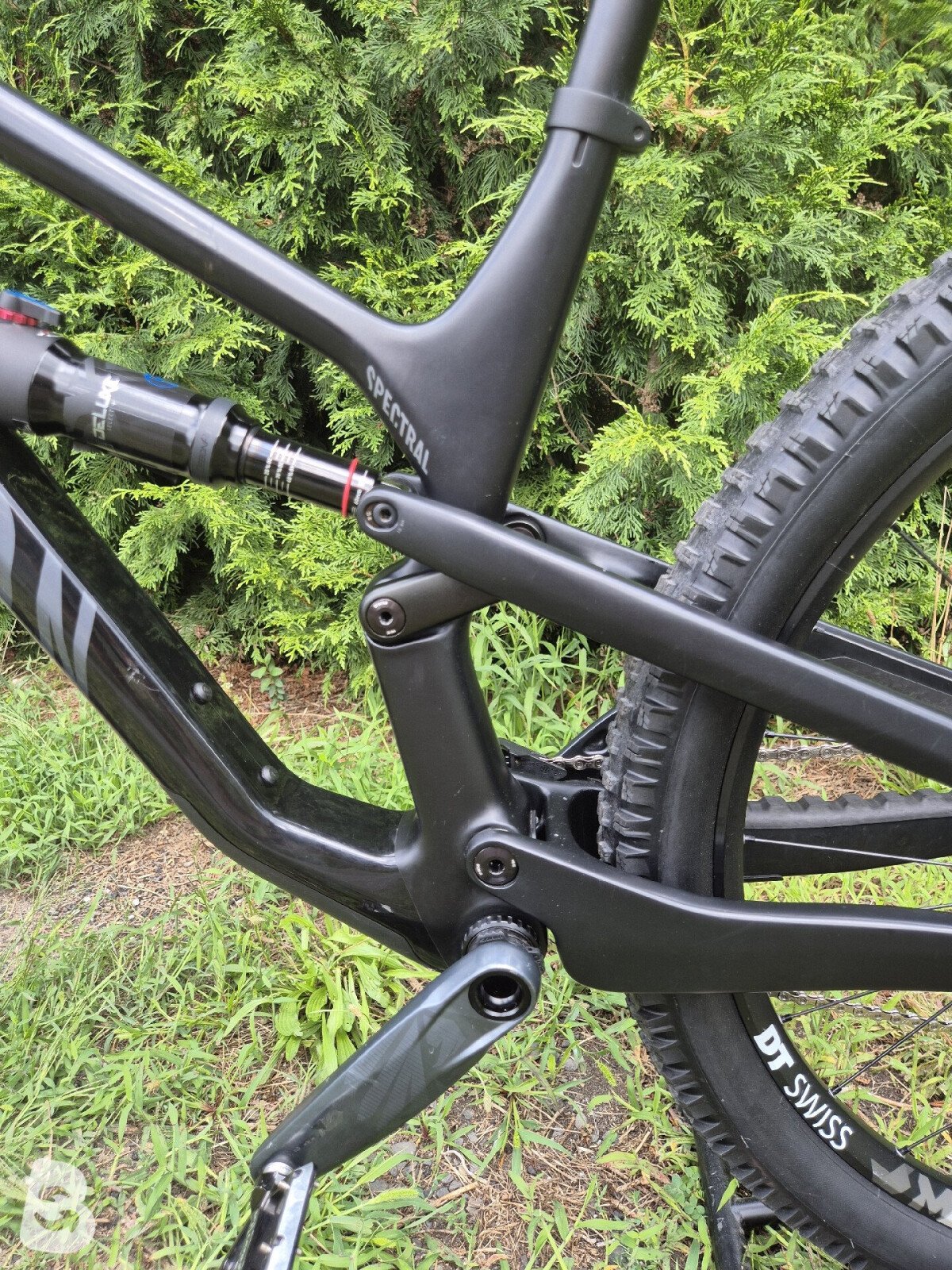 Canyon Spectral 29 CF 7.0 2021