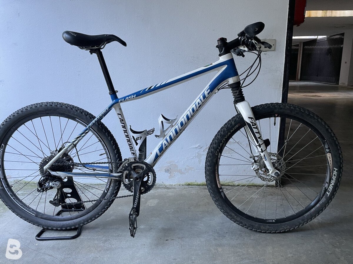 Cannondale Flash 2006