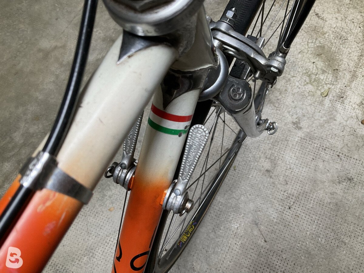 Colnago Anni 80 2026