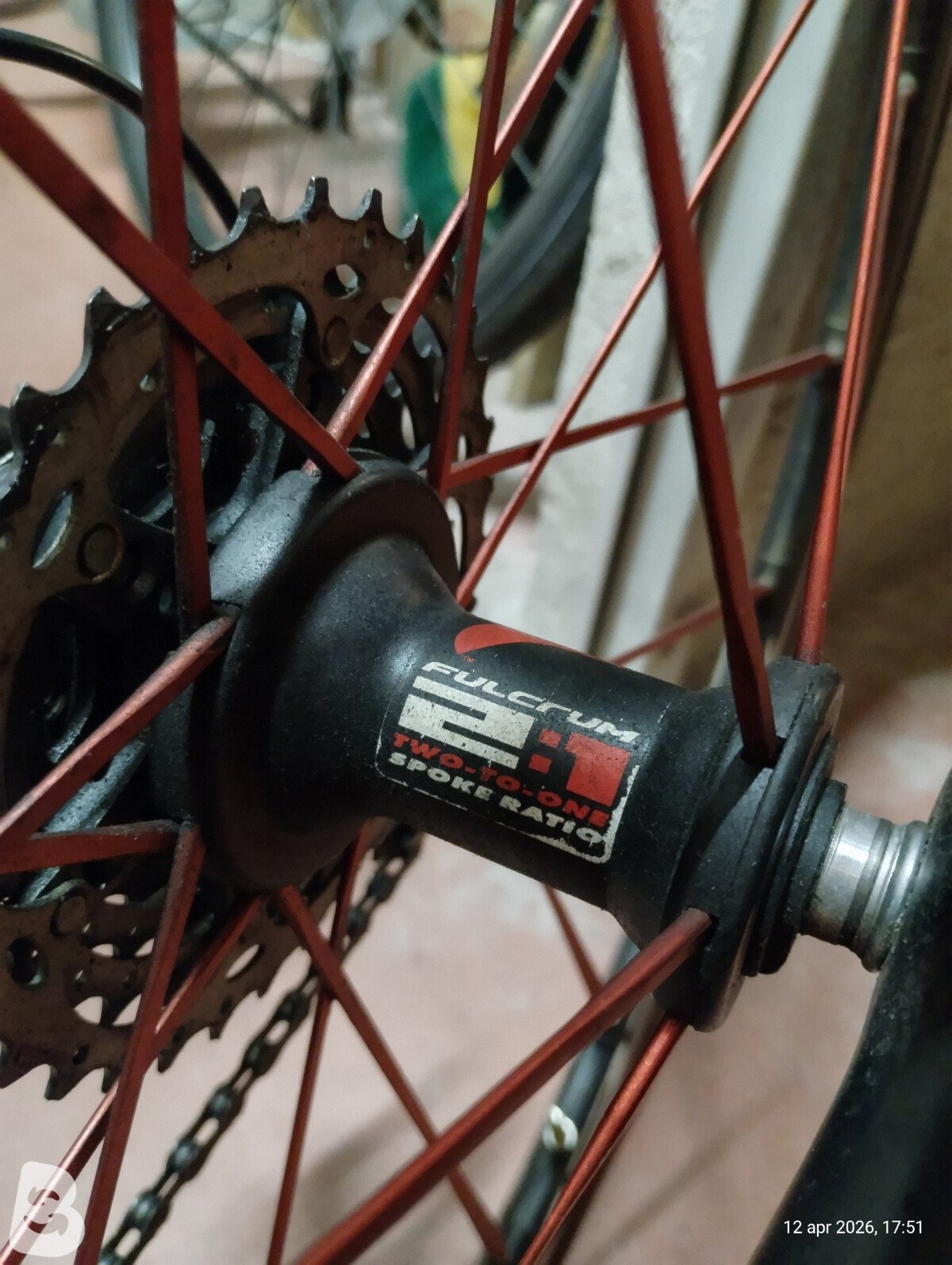 Rodman Mizar Pro 2018